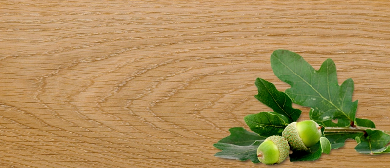 Материалы для изготовления межкомнатных дверей из массива